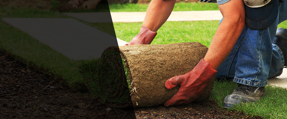 Hasbrouck Heights Landscapers